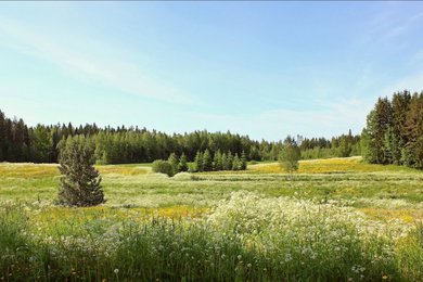 Коттеджный поселок Перспективный